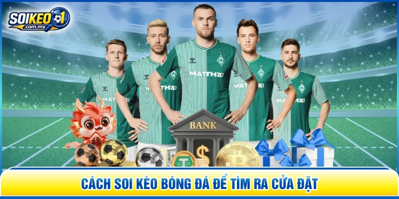 Cách soi kèo bóng đá để tìm ra cửa đặt