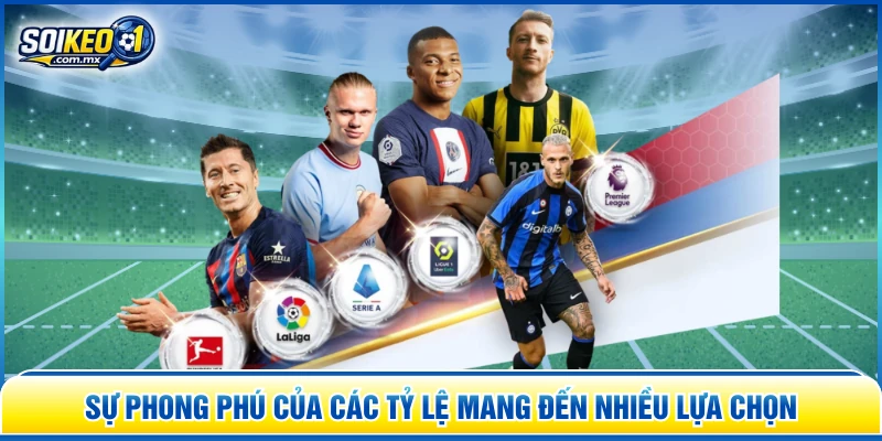 Sự phong phú của các tỷ lệ mang đến nhiều lựa chọn